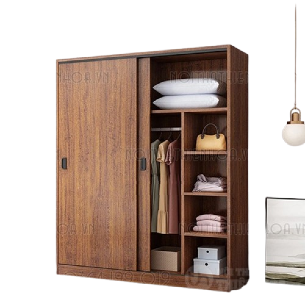 Tủ áo 2 cánh lùa màu nâu hiện đại TA55
