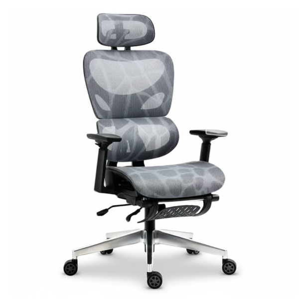 Ghế Công Thái Học Lưng V – CTH17