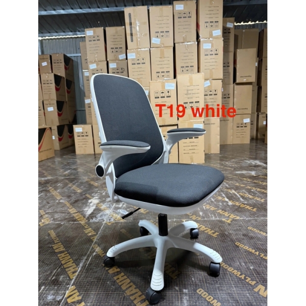 Ghế Công Thái Học T19 Trẻ Trung Tiện Nghi Hiện Đại – GX75