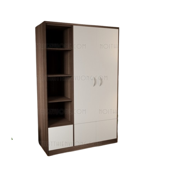 tủ quần áo 2 cánh ngăn chứa đồ màu 6089