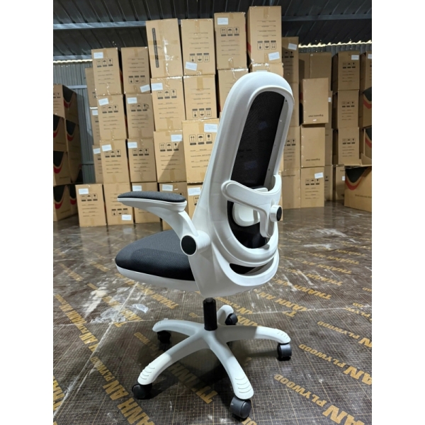 Ghế Công Thái Học T19 Trẻ Trung Tiện Nghi Hiện Đại – GX75