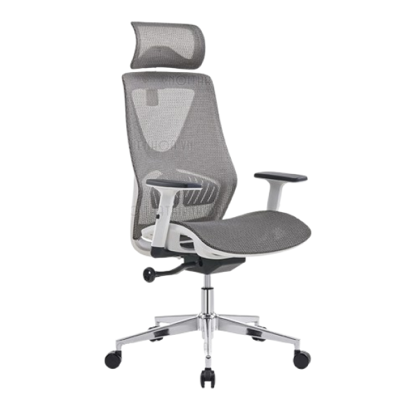 Ghế ghế làm việc công thái học Ergonomi CTH33X