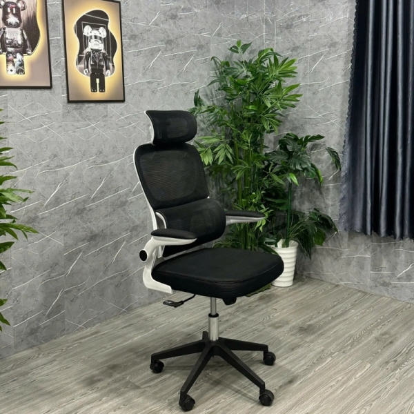 Ghế Văn Phòng Công Thái Học Hỗ Trợ Cột Sống – CTH24