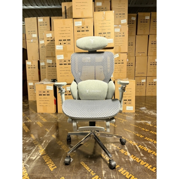 Ghế Công Thái Học LIKE-REGA Lưng Lưới Cao Cấp – GX71